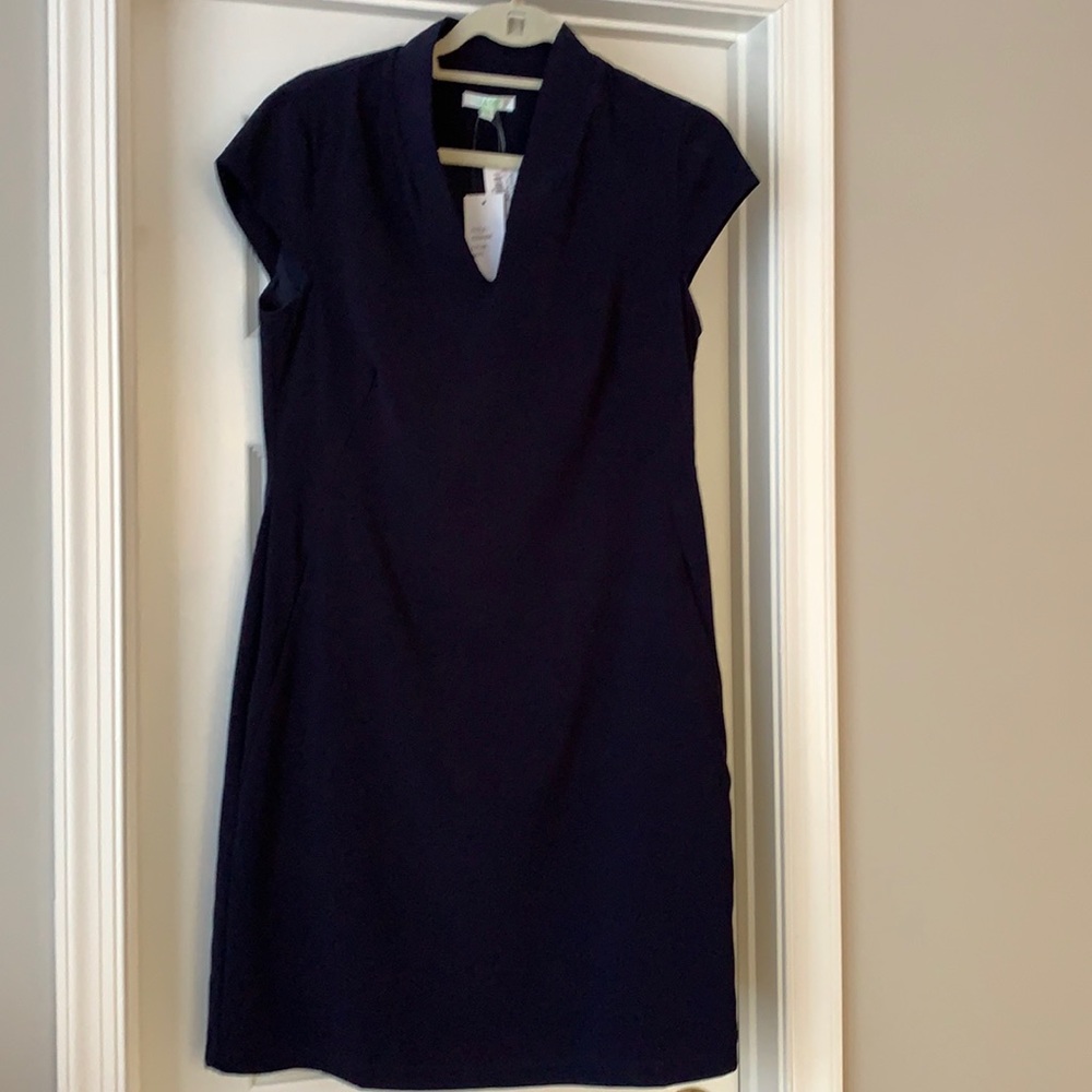Jade Melody Tam cap sleeve sheath dress